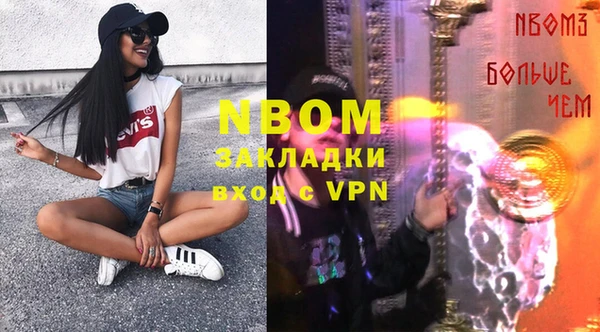 прущие грибы Иннополис