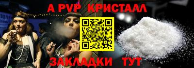 мет Кингисепп