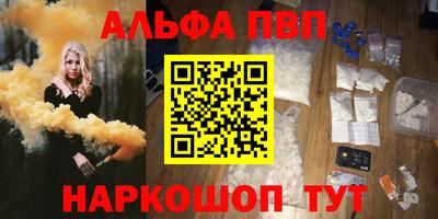 мет Кингисепп