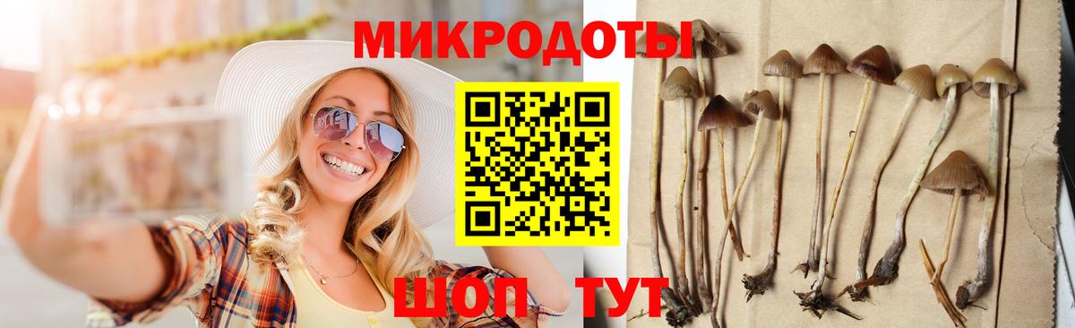 Псилоцибиновые грибы GOLDEN TEACHER  Вход с VPN  Псилоцибиновые грибы Psilocybine cubensis  Лыткарино 