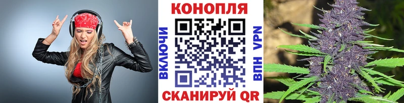 Каннабис SATIVA & INDICA  Лыткарино 